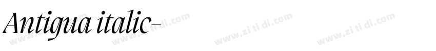 Antigua italic字体转换 Antigua italic字体转换